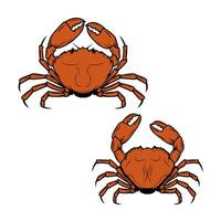 Set of the crabs icons in . Crab label. Crabs icons isolated on white background. design element. vector