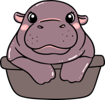 Cute Baby Pygmy Hippo Bouncy pig in basin cartoon character png