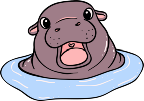 Cute Baby Pygmy Hippo Bouncy pig in water cartoon character png