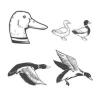 Set of wild ducks icons isolated on white background. Duck hunting. Design elements for logo, label, badge, sign. vector