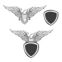 Eagle on shield isolated on white background. Design element for emblem, badge. vector