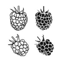 Set of the raspberry icons isolated on white background. Design elements for logo, label, emblem, sign, poster. vector