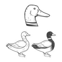 Set of wild ducks icons isolated on white background. Duck hunting. Design elements for logo, label, badge, sign. illustration vector