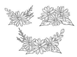 Set of bouquets of chamomile with leaves. Hand drawn graphics, linear drawing. Compositions of chamomile flowers with leaves and greenery. Black and white illustration for design and decoration vector