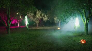 Forest Full Of Ghosts And Pumpkins Flashing Light On Foggy Halloween Night video