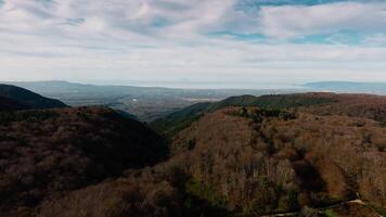 Trees In Autumn And Mountain Overlooking Nature video