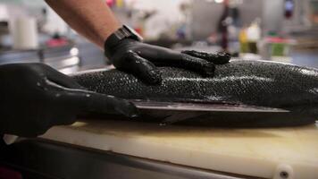 Fresh Fish Just Arrived In The Hands Of The Chef video