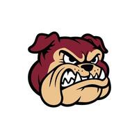 A bulldog head with an angry expression vector
