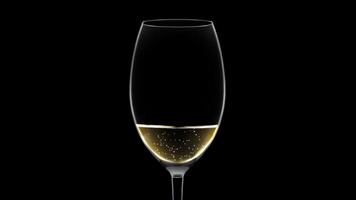 Elegant empty glass fills up with white sparkling wine macro video