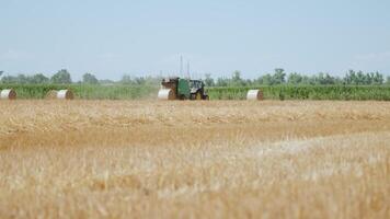August 2021. Processing of hay bales in the field video