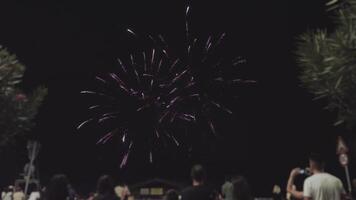 Fireworks display with fireworks video