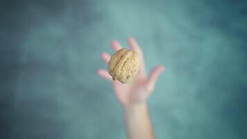 Person hand throwing up and catching walnut in nutshell video