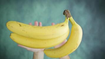 Man hands throw up and catch ripe yellow bananas above table video
