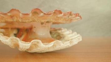 Live mollusk with opened shell lying on wooden table video
