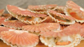 Sea scallops open and close shells lying on wooden table video