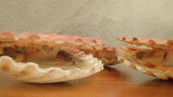 Live bivalve mollusks open shells lying in light studio video