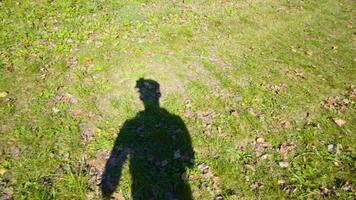 Operator shadow moves in hurry filming grass with camera video