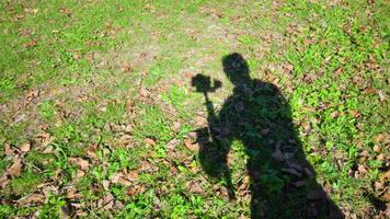 Man operator moves filming grass with camera on tripod video