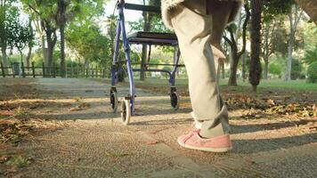 Grandma strolls around park using wheelchair-rollator video