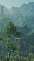 A view of a forest with a mountain in the background video