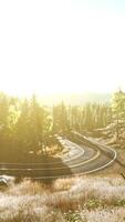 A serene and inviting forest road enveloped by the warm hues of a setting sun video