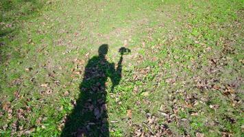 Man operator shadow moving camera on folded tripod on grass video