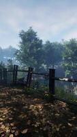 A fenced-in area with trees video