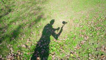 Camera operator shadow moves on lawn grass following man video