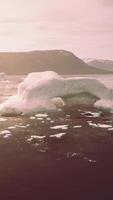 Floating icebergs on a serene water surface video