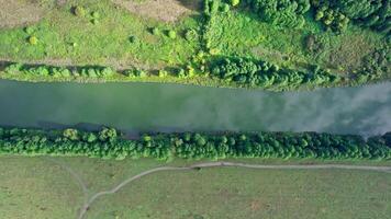 Top view of the river, surrounded by trees and meadows video