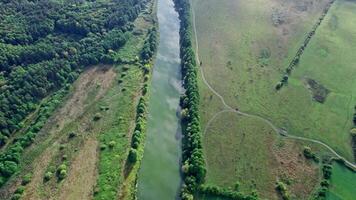 Top view of the river, surrounded by trees and meadows video