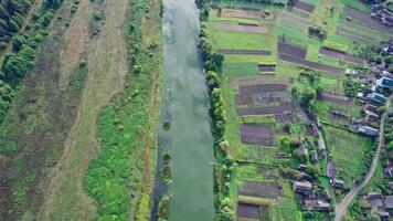 Top view of the river, surrounded by trees and meadows video