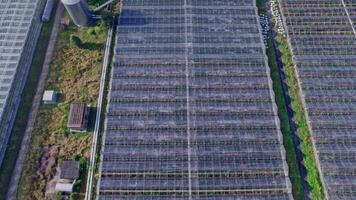 Aerial top view of greenhouse video