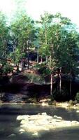 A small lake surrounded by trees and rocks video