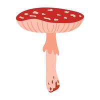 Fly agaric hand drawn illustration with red mushroom cap and white spots isolated on white background. Autumn forest poisonous mushroom. Fall season flora vector