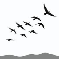 Silhouettes of birds flying in a formation over abstract grey waves against a white background. vector