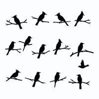 Silhouettes of birds perched on branches and soaring, showcasing various postures against a clean white background. vector