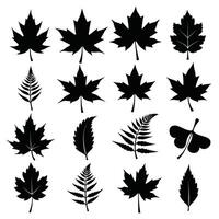 A collection of black silhouette leaves and botanical shapes, showcasing a variety of leaf designs in a grid layout on a white background. vector