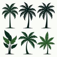 Six stylized palm and tropical plant illustrations against a soft background, showcasing diverse leaf patterns and silhouettes in shades of green. vector