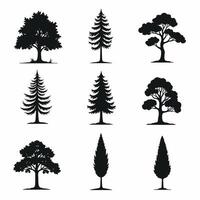 Silhouettes of diverse tree species arranged in a grid pattern on a white background. vector