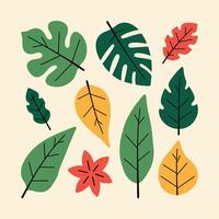 A colorful illustration of various leaves in different shapes and sizes on a light background. vector