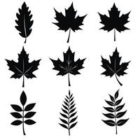 Collection of black silhouette leaves on a white background featuring various shapes and types, including maple and fern-like designs. vector