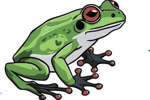 frog on a white background vector