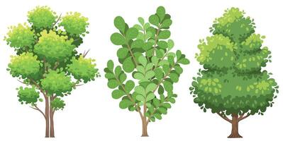 Cartoon tree , natural tree plant design element vector