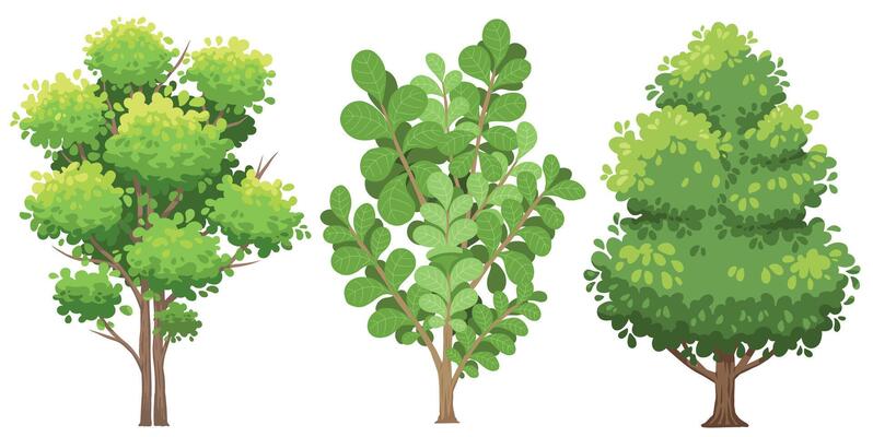 Cartoon tree , natural tree plant design element