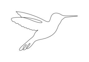 Continuous one line drawing of hummingbird. Isolated on white background digital illustration vector