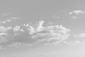 Black and white photo of a plane flying over a field