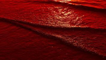 A red wave on the ocean surface photo