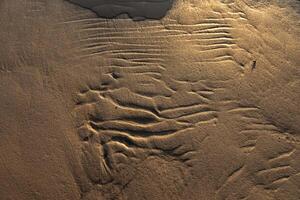 Dunes on the sea shore. Ripples in wet sand background texture. Beach sand background photo