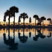 A pool with palm trees and a blue sky photo